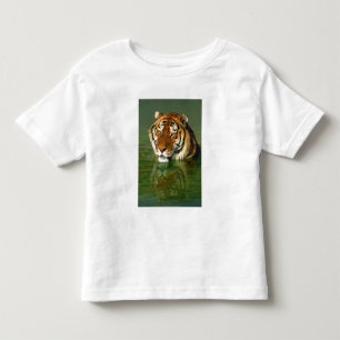 USA, California, Los Angeles County. Bengal Toddler T-shirt