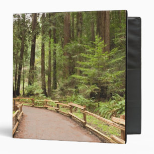 USA, California, Marin County, Muir Woods Binder