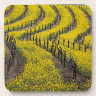 USA, California, Napa Valley, Los Carneros Ava. Coaster