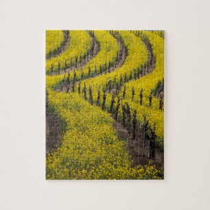 USA, California, Napa Valley, Los Carneros Ava. Jigsaw Puzzle