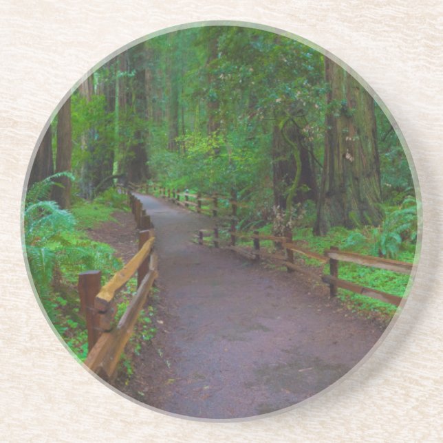USA, California. Path Among Redwoods Coaster (Front)