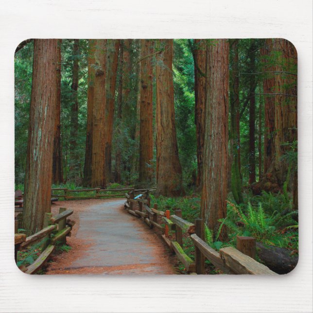 USA, California. Path Among Redwoods In Muir Mouse Pad (Front)