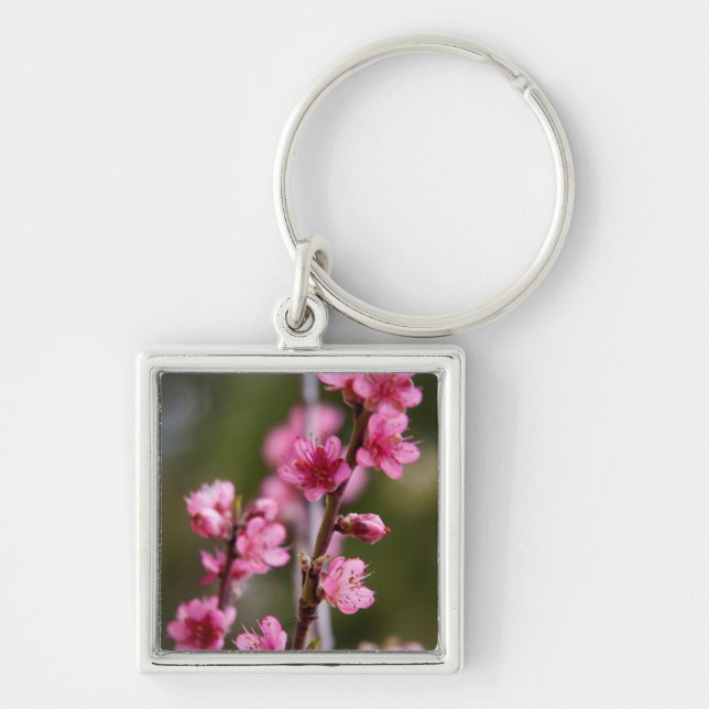 USA, California. Pink Blooms On A Tree Keychain (Front)