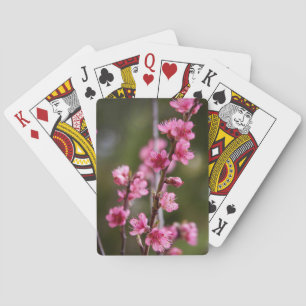 USA, California. Pink Blooms On A Tree Playing Cards