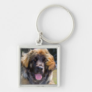 USA, California. Portrait Of Leonberger Sitting Keychain