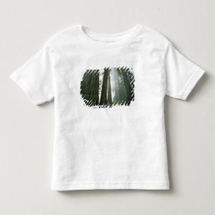 USA, California, Redwood National Park, 2 Toddler T-shirt