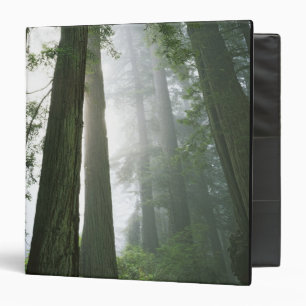 USA, California, Redwood National Park, Binder