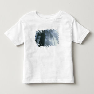 USA, California, Redwood National Park, Del Toddler T-shirt
