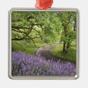 USA, California, Redwood National Park. Dirt Metal Ornament