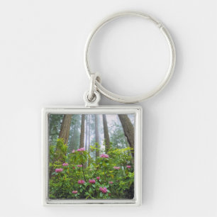 USA, California, Redwood NP. Rhododendron Keychain