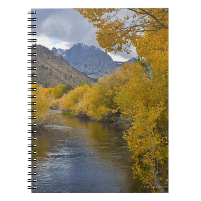USA, California, River through Eastern Sierra Notebook (Front)