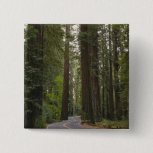 USA, California, road through Redwood forest 2 Inch Square Button