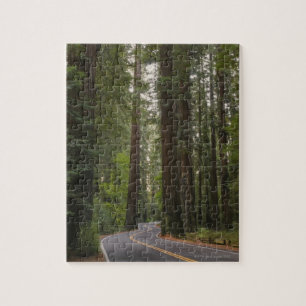 USA, California, road through Redwood forest 2 Jigsaw Puzzle
