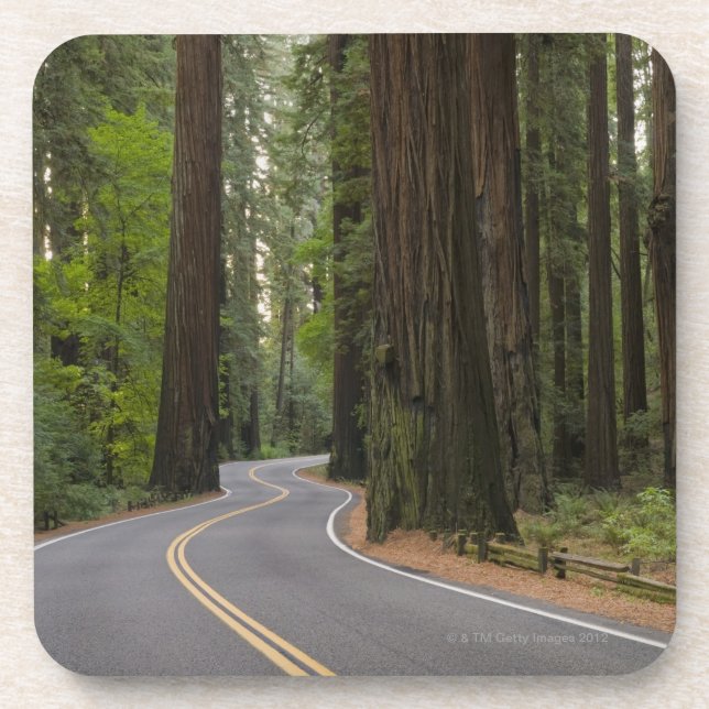 USA, California, road through Redwood forest Coaster (Front)