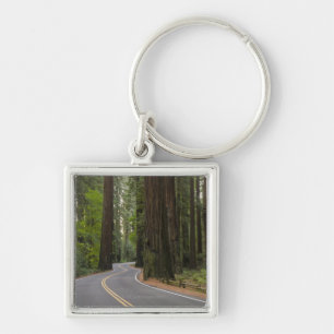 USA, California, road through Redwood forest Keychain