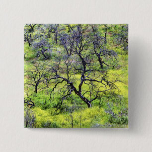 USA, California, San Diego. A burnt oak forest 2 Inch Square Button