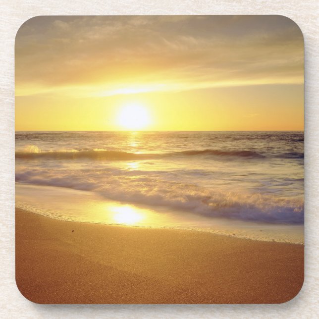 USA, California, San Diego. La Jolla Shores Coaster (Front)