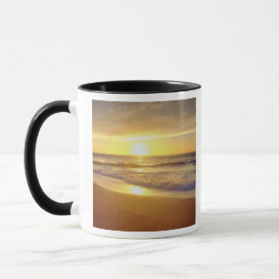 USA, California, San Diego. La Jolla Shores Mug