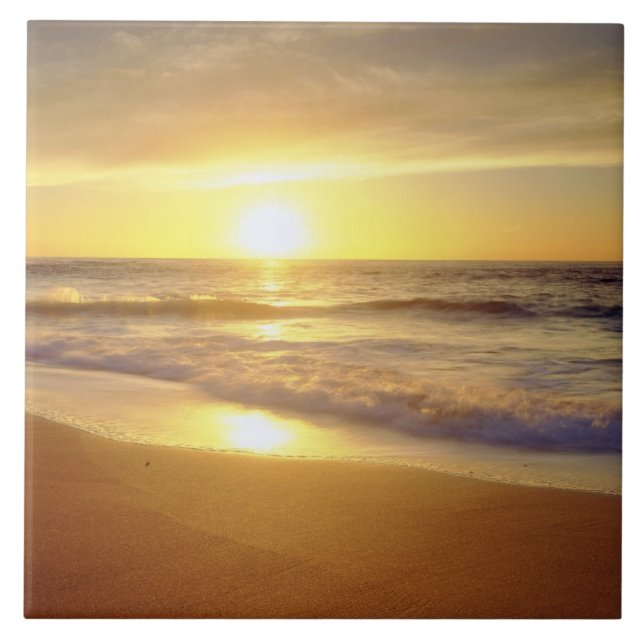USA, California, San Diego. La Jolla Shores Tile (Front)