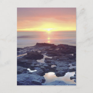 USA, California, San Diego. Sunset Cliffs tide Postcard