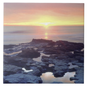USA, California, San Diego. Sunset Cliffs tide Tile