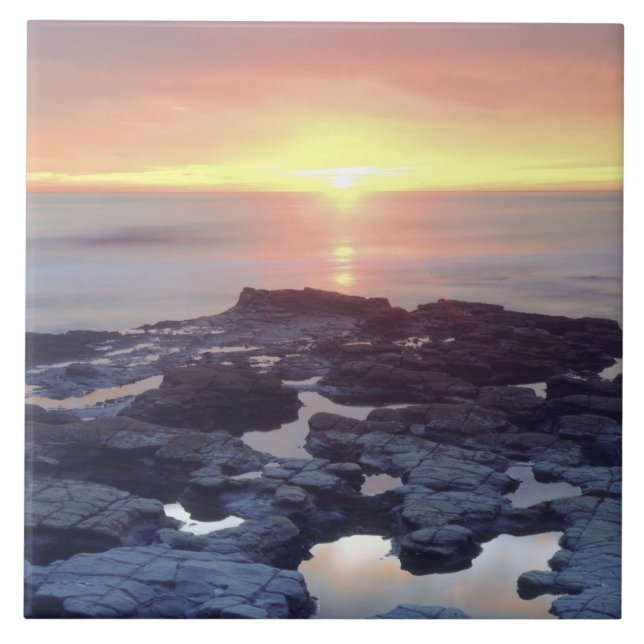 USA, California, San Diego. Sunset Cliffs tide Tile (Front)
