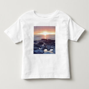 USA, California, San Diego. Sunset Cliffs tide Toddler T-shirt