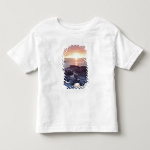 USA, California, San Diego. Sunset Cliffs tide Toddler T-shirt