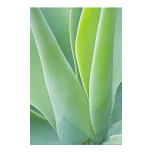 USA, California, San Fracisco, Golden Gate Photo Print