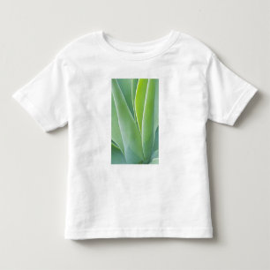 USA, California, San Fracisco, Golden Gate Toddler T-shirt