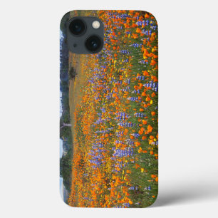 USA, California, Santa Margarita, Avenales iPhone 13 Case