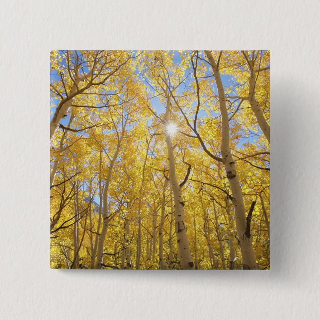 USA, California, Sierra Nevada Mountains. Fall 2 Inch Square Button (Front)