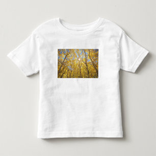 USA, California, Sierra Nevada Mountains. Fall Toddler T-shirt