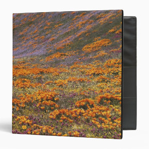 USA, California, Tehachapi Mountains, 2 Binder