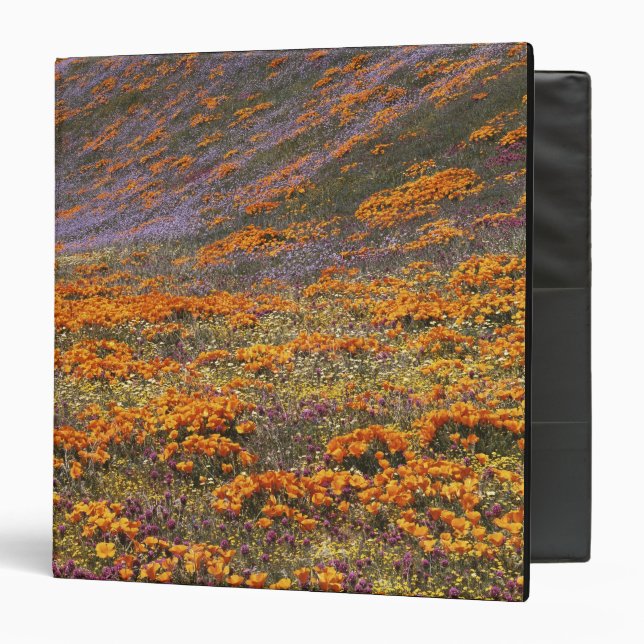 USA, California, Tehachapi Mountains, 2 Binder (Front/Inside)