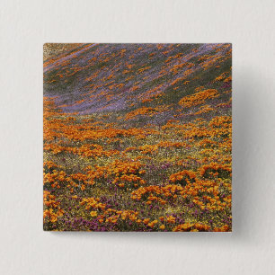 USA, California, Tehachapi Mountains, 2 Inch Square Button