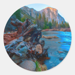 USA, California. Tree Roots In Merced River Classic Round Sticker