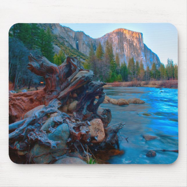 USA, California. Tree Roots In Merced River Mouse Pad (Front)