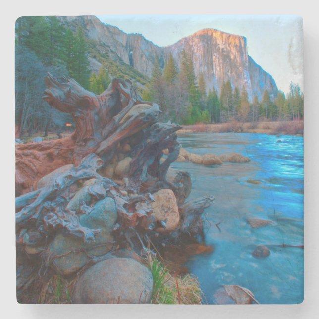 USA, California. Tree Roots In Merced River Stone Coaster (Front)