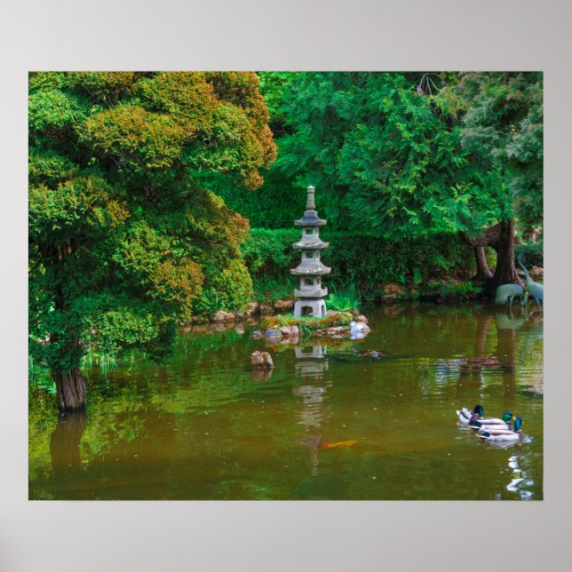 USA, California. View Of A Pond Poster (Front)