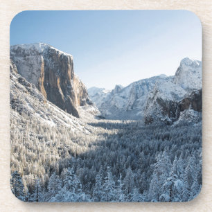 USA, California, Yosemite National Park 2 Coaster