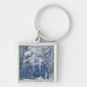 USA, California, Yosemite National Park, 2 Keychain