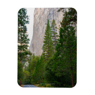 USA, California, Yosemite National Park, El 4 Magnet