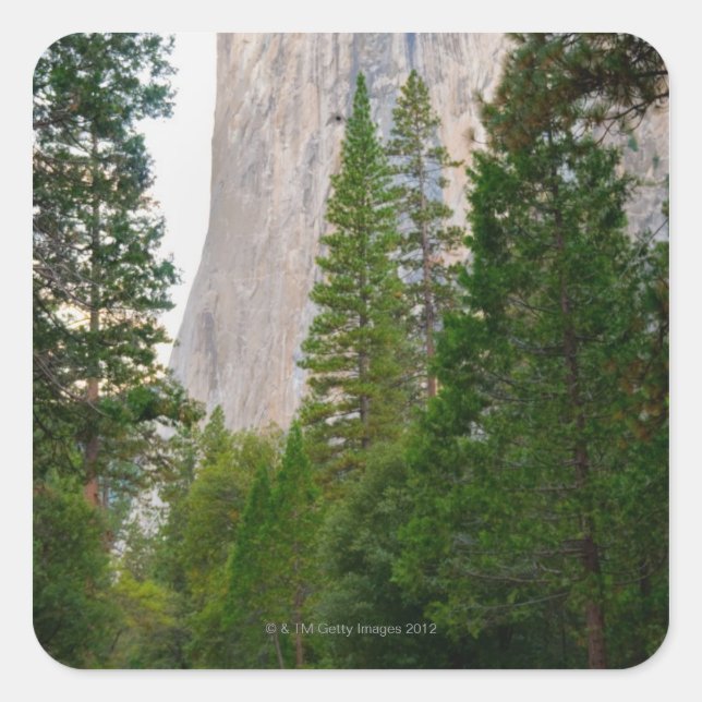 USA, California, Yosemite National Park, El 4 Square Sticker (Front)