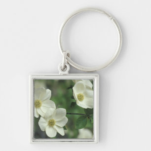 USA, California, Yosemite NP, along Merced Keychain