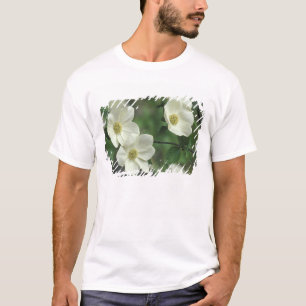 USA, California, Yosemite NP, along Merced T-Shirt