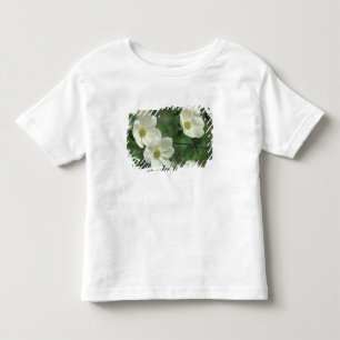 USA, California, Yosemite NP, along Merced Toddler T-shirt