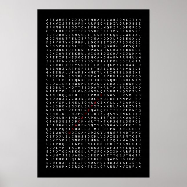 USA capitals, poster with word search (Front)