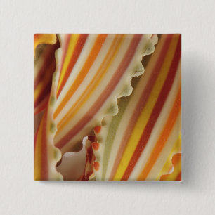 USA. Close-up of dried rainbow pasta noodles. 2 Inch Square Button