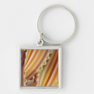 USA. Close-up of dried rainbow pasta noodles. Keychain